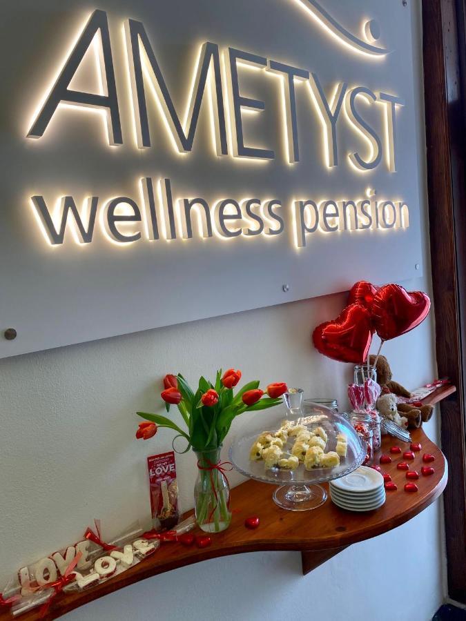Wellness Pension Ametyst Чеський Крумлов Екстер'єр фото